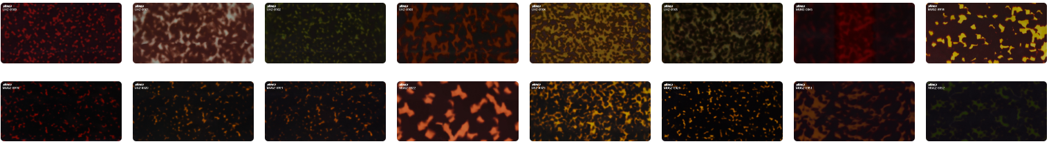 Acetate Sheet Acetate Sheet